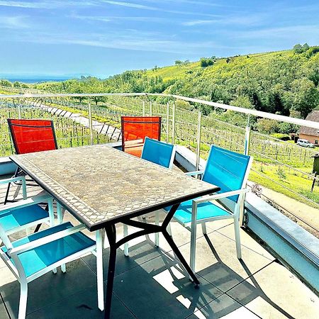 Janea Big Blue House Apartment Reichsfeld Екстериор снимка
