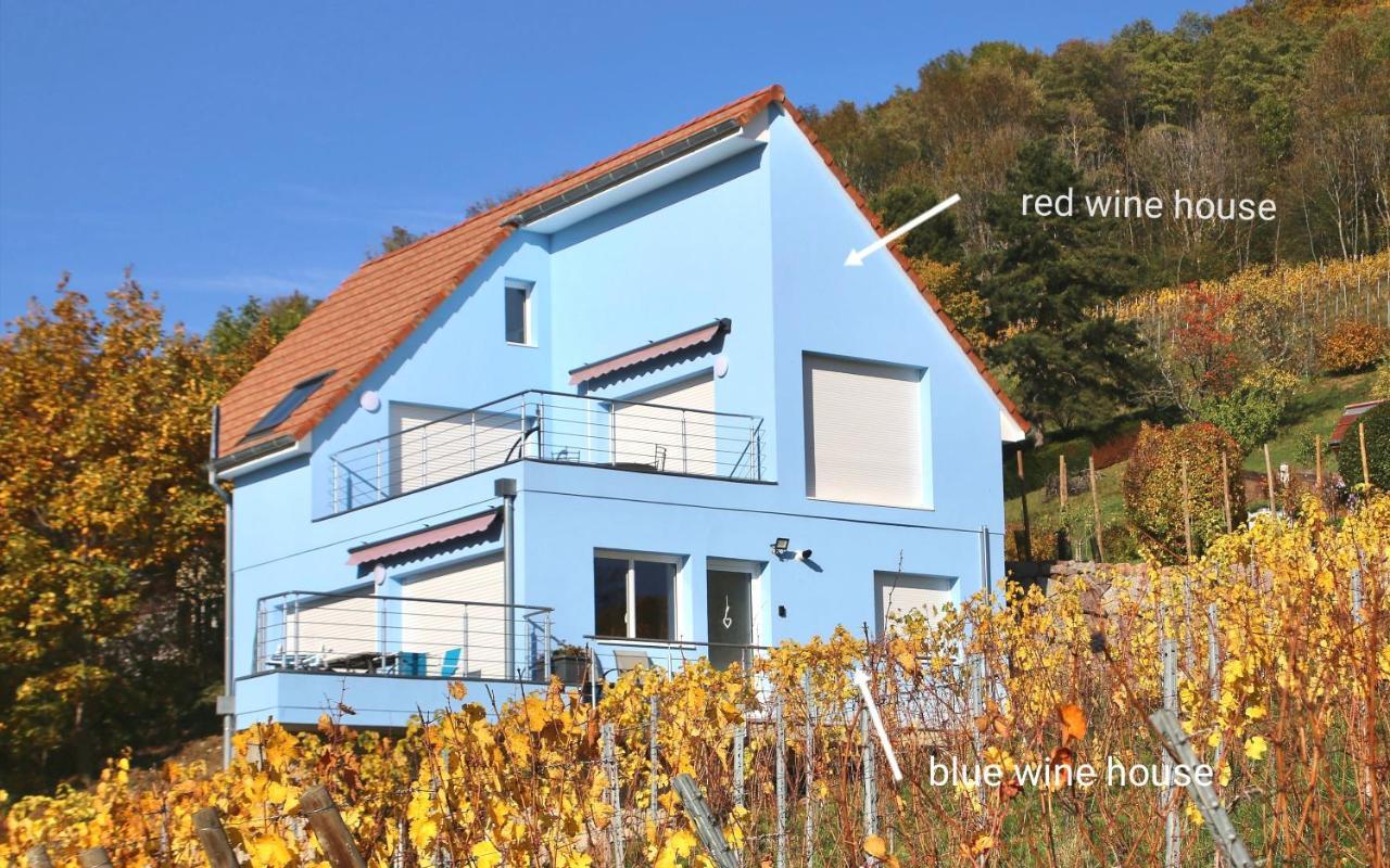 Janea Big Blue House Apartment Reichsfeld Екстериор снимка