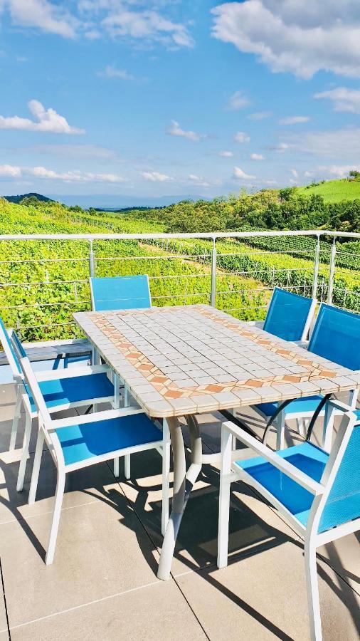 Janea Big Blue House Apartment Reichsfeld Екстериор снимка