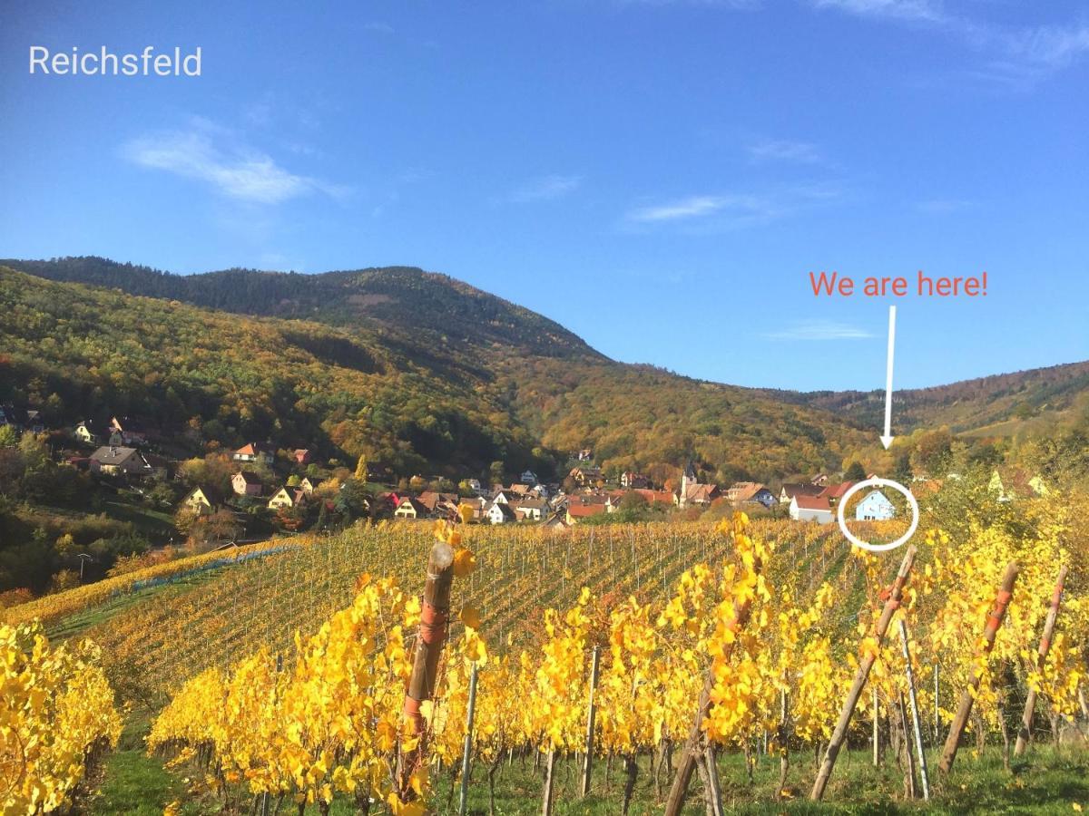 Janea Big Blue House Apartment Reichsfeld Екстериор снимка