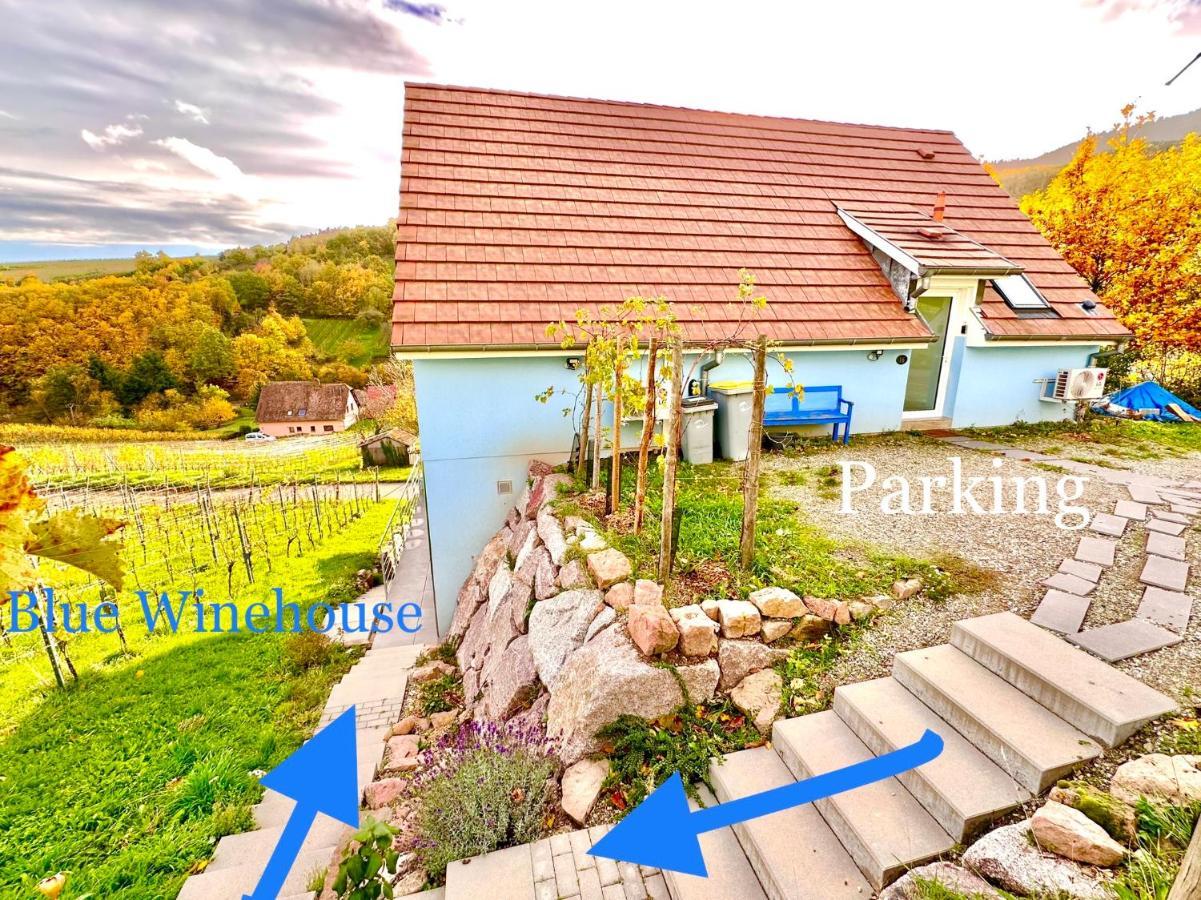 Janea Big Blue House Apartment Reichsfeld Екстериор снимка