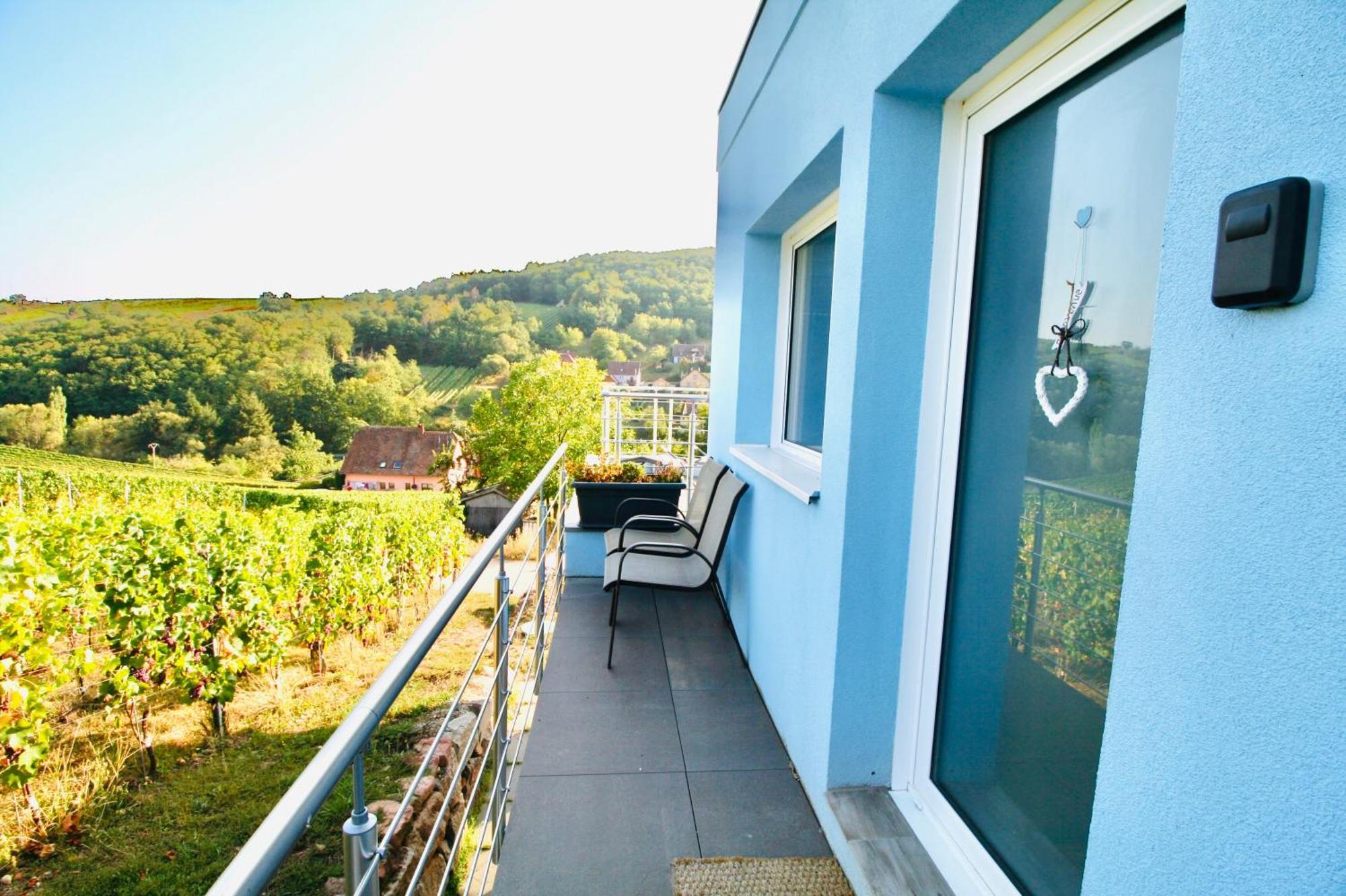 Janea Big Blue House Apartment Reichsfeld Екстериор снимка
