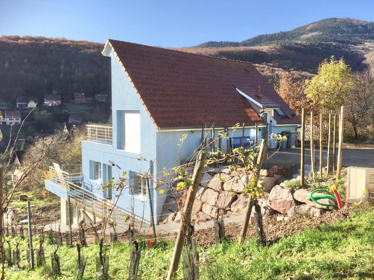Janea Big Blue House Apartment Reichsfeld Екстериор снимка